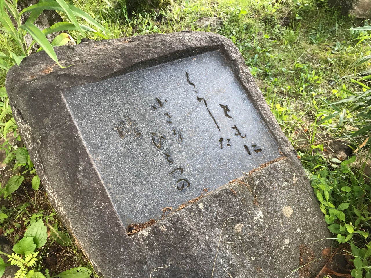 福知山淑徳高等学校画像